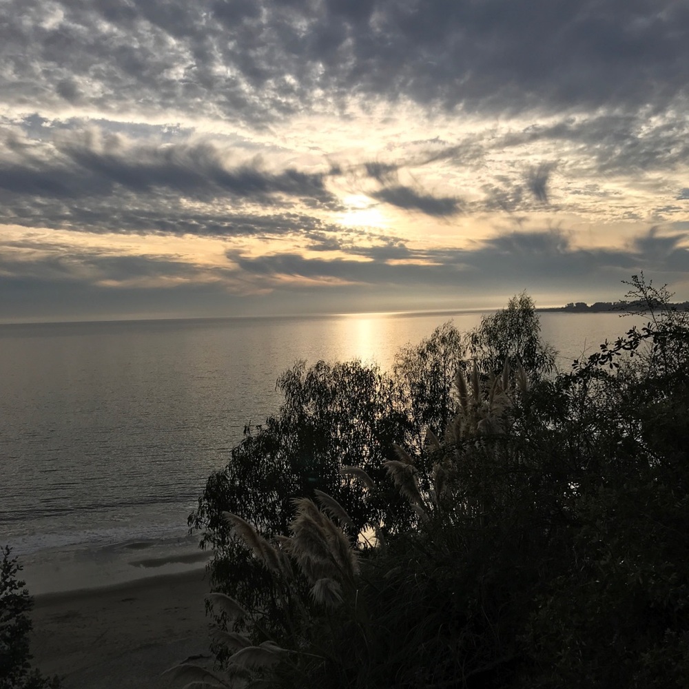 Meet your Posher, Cyn